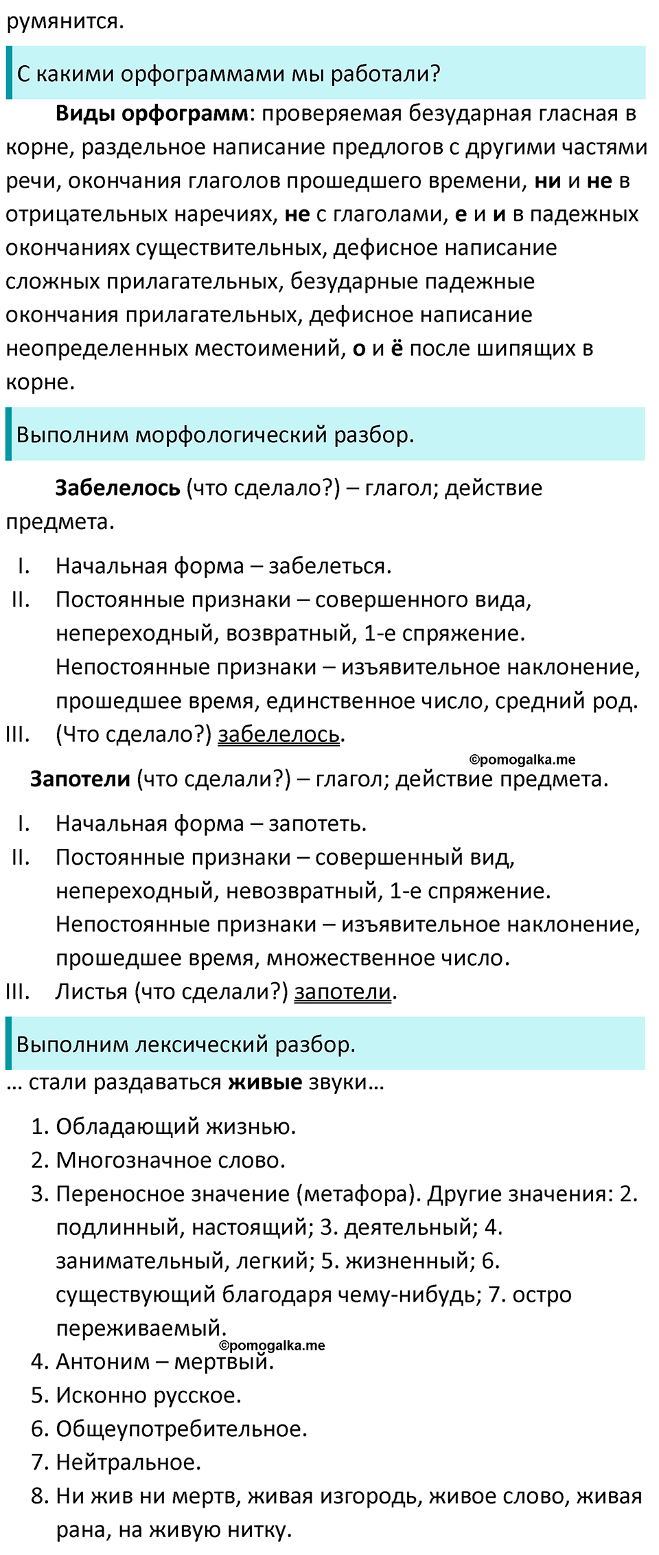 страница 104 упражнение 504 русский язык 7 класс Баранов, Ладыженская 2021-2022 год