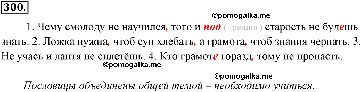 упражнение №300 русский язык 10-11 класс Власенков