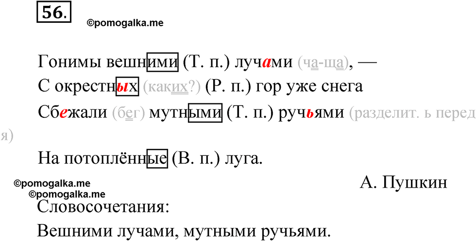 часть 2 упражнение 56 русский язык 4 класс Канакина рабочая тетрадь 2023 год