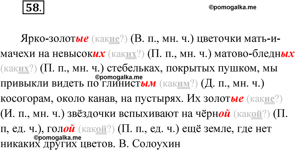 часть 2 упражнение 58 русский язык 4 класс Канакина рабочая тетрадь 2023 год