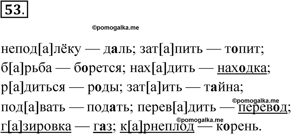 страница 41 упражнение 53 русский язык 5 класс Бондаренко рабочая тетрадь 1 часть 2024 год