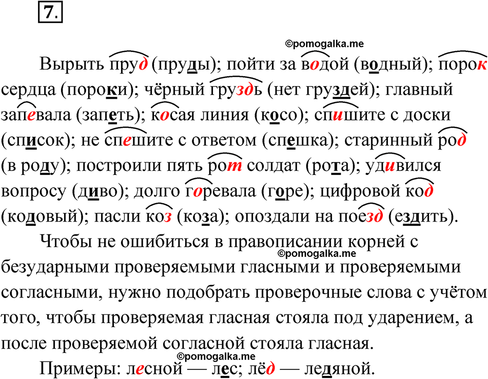 страница 7 упражнение 7 русский язык 5 класс Бондаренко рабочая тетрадь 1 часть 2024 год