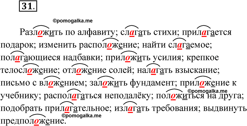 страница 21 упражнение 31 русский язык 5 класс Бондаренко рабочая тетрадь 2 часть 2024 год