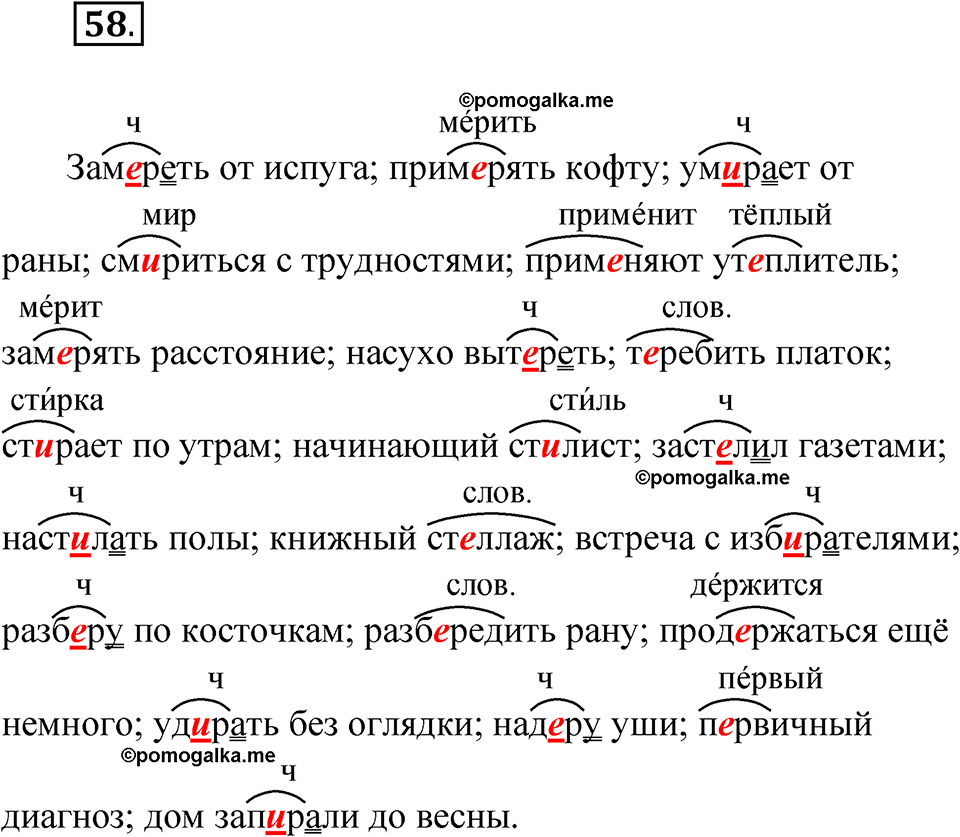 страница 38 упражнение 58 русский язык 5 класс Бондаренко рабочая тетрадь 2 часть 2024 год