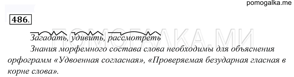 упражнение 486 русский язык 5 класс Купалова 2012 год