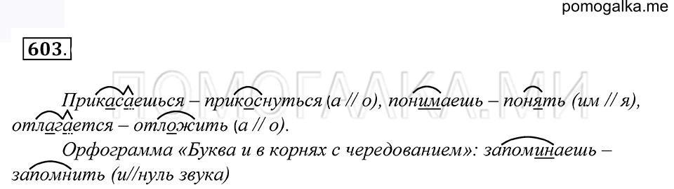 упражнение 603 русский язык 5 класс Купалова 2012 год