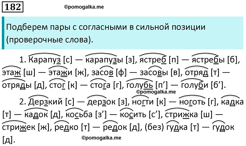 упражнение 182 русский язык 5 класс Ладыженская, Баранов 2023 год