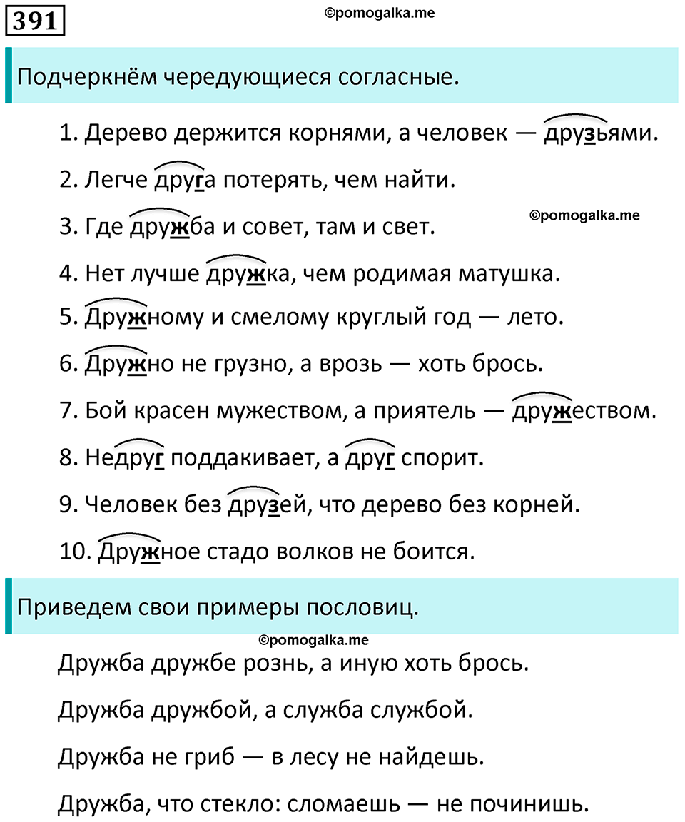 упражнение 391 русский язык 5 класс Ладыженская, Баранов 2023 год