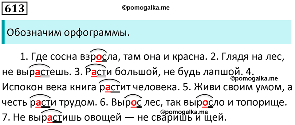 упражнение 613 русский язык 5 класс Ладыженская, Баранов 2023 год