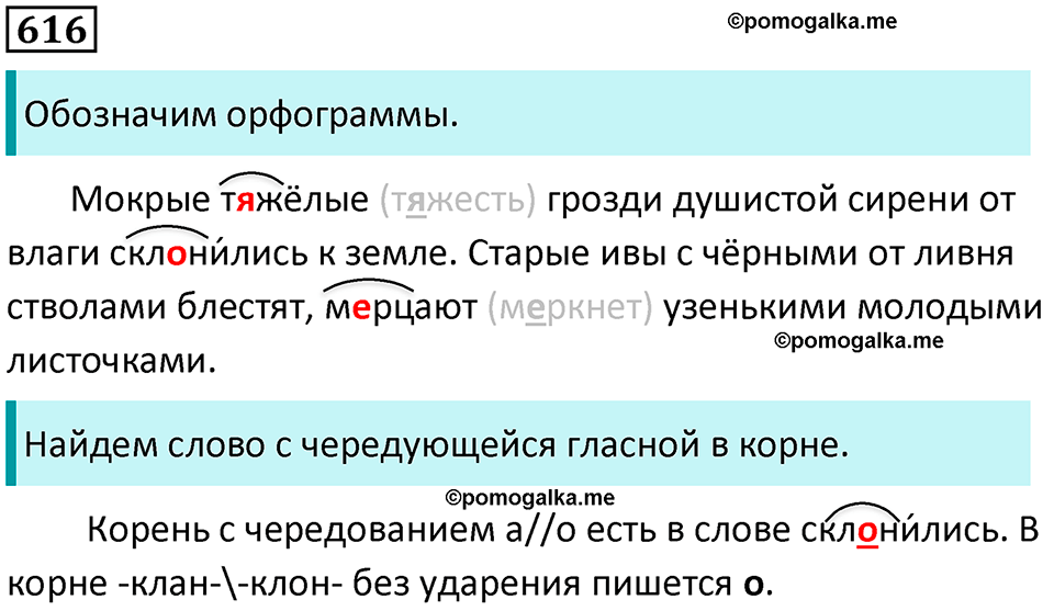 упражнение 616 русский язык 5 класс Ладыженская, Баранов 2023 год