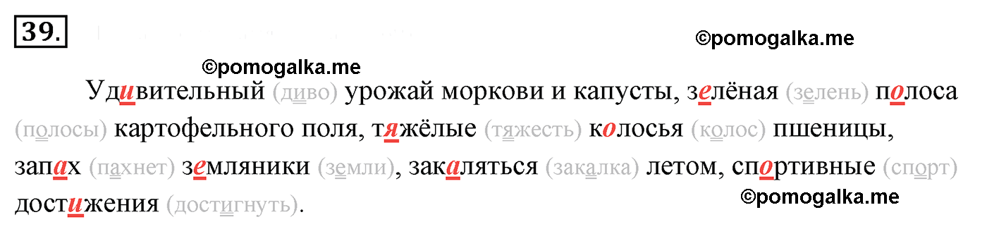 номер 39 русский язык 5 класс Ладыженская, Баранов, Тростенцова 2012 год