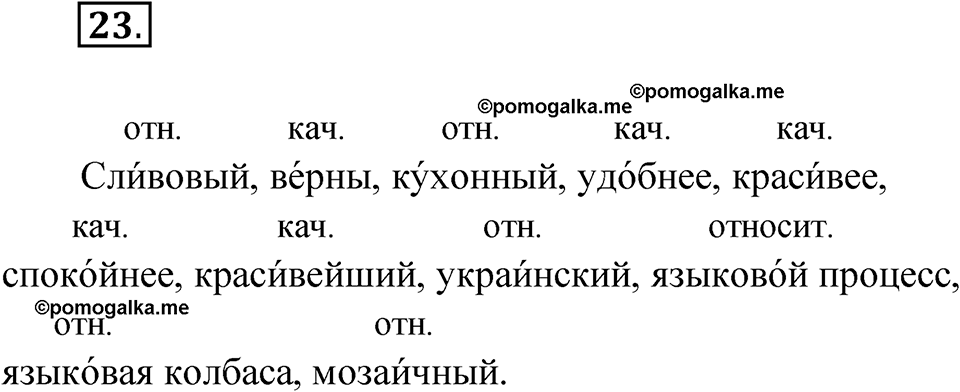страница 19 упражнение 23 русский язык 6 класс Бондаренко рабочая тетрадь 2 часть 2023 год