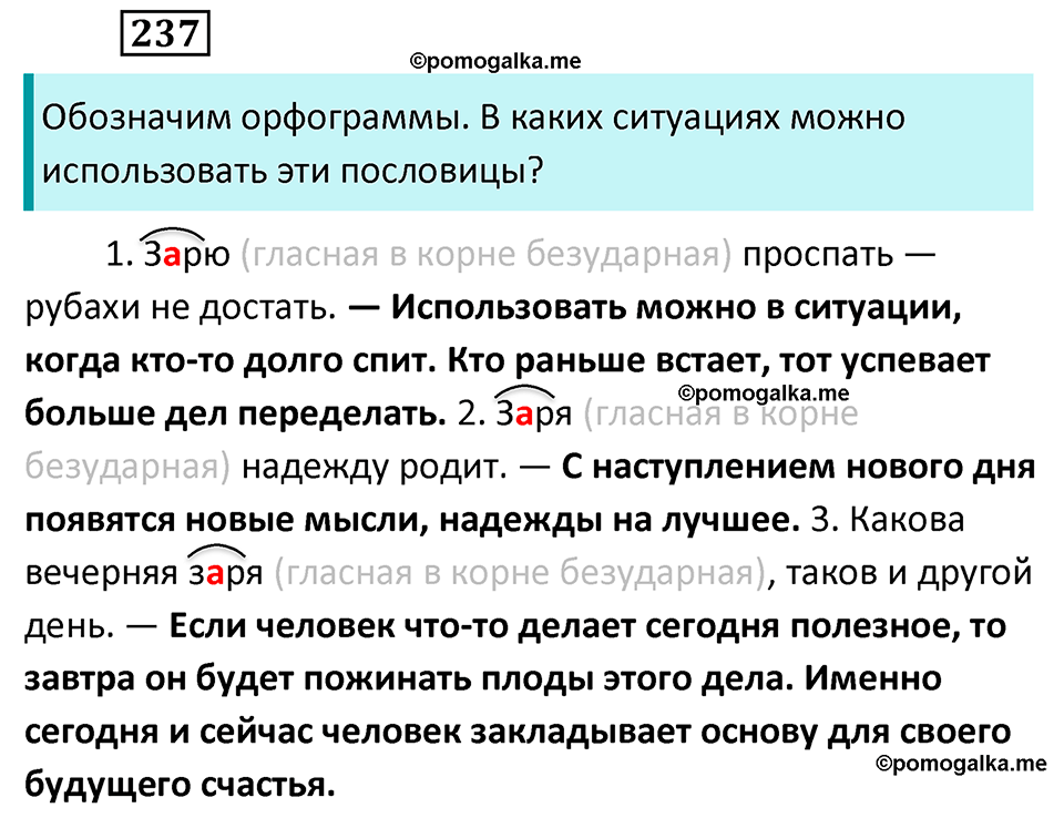 разбор упражнения №237 русский язык 6 класс Баранов, Ладыженская, Тростенцова 2020 год