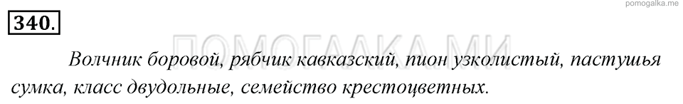 упражнение №340 русский язык 6 класс Львова, Львов учебник 2013 год