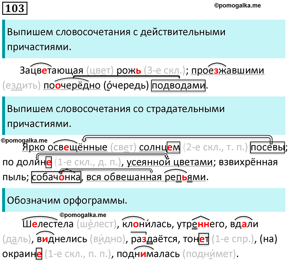 страница 55 упражнение 103 русский язык 7 класс Баранов, Ладыженская 2021-2022 год
