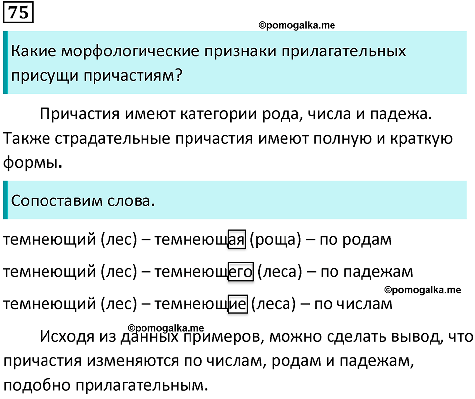 страница 40 упражнение 75 русский язык 7 класс Баранов, Ладыженская 2021-2022 год
